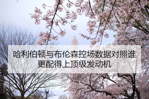 哈利伯顿与布伦森控场数据对照谁更配得上顶级发动机