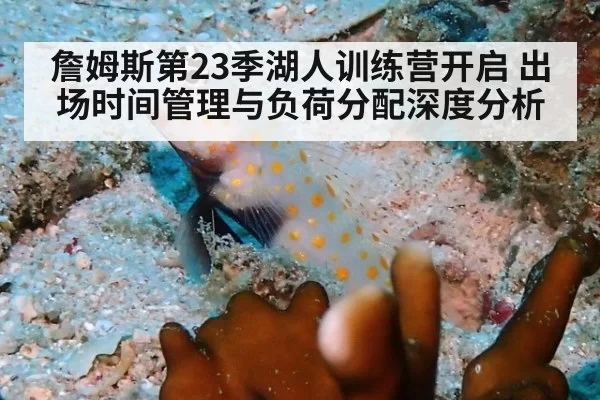 詹姆斯第23季湖人训练营开启 出场时间管理与负荷分配深度分析